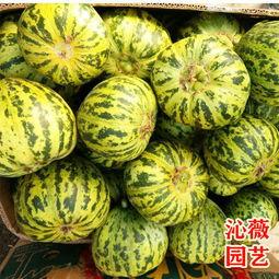 甜瓜最新大爆料视频  第2张